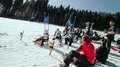 lvh Wintersportfest in Feldthurns Kinder und Erwachsene beim Rodelrennen auf verschneiter Piste mit Wald im Hintergrund