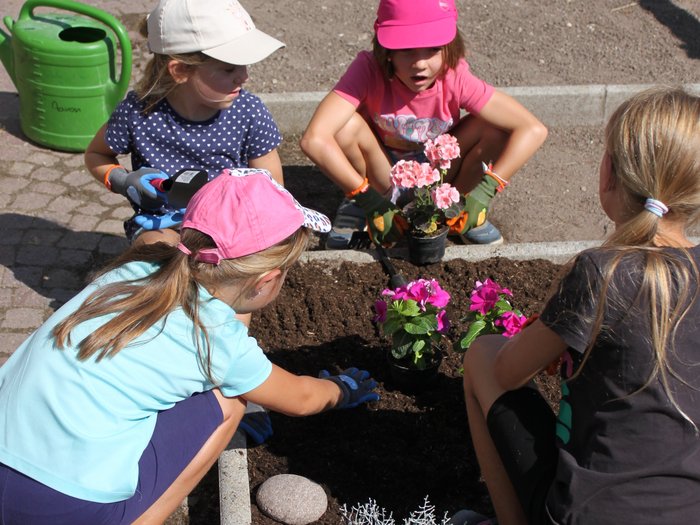Blütenzauber und Gartenpracht: Das große Finale der KidsAcademy findet in Laimburg-Pfatten statt Kinder pflanzen Blumen in einem Gemeinschaftsgarten an einem sonnigen Tag