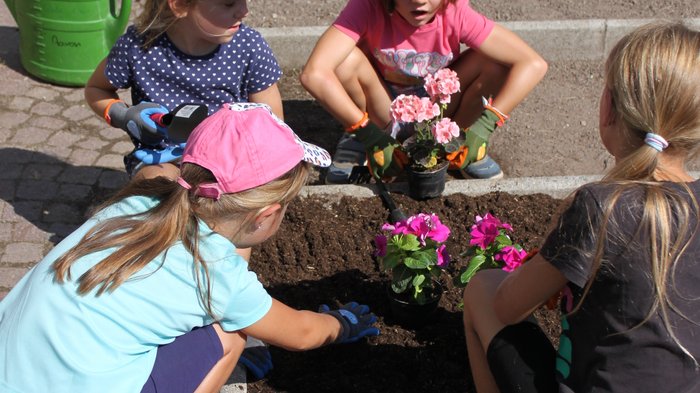Blütenzauber und Gartenpracht: Das große Finale der KidsAcademy findet in Laimburg-Pfatten statt Kinder pflanzen Blumen in einem Gemeinschaftsgarten an einem sonnigen Tag