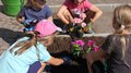 Blütenzauber und Gartenpracht: Das große Finale der KidsAcademy findet in Laimburg-Pfatten statt Kinder pflanzen Blumen in einem Gemeinschaftsgarten an einem sonnigen Tag