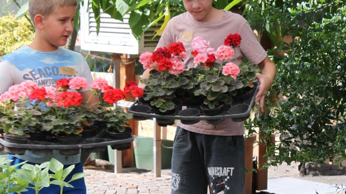 Blütenzauber und Gartenpracht: Das große Finale der KidsAcademy findet in Laimburg-Pfatten statt Zwei Jungen tragen Tabletts mit roten und rosa Blumen in einem Garten