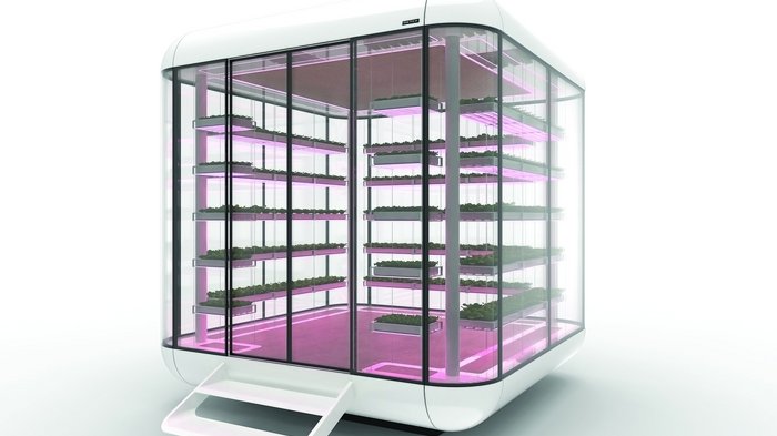 German Design Award 2022: stolze Sieger aus Südtirol Moderne vertikale Farm mit Pflanzen unter rosa LED-Beleuchtung