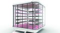 German Design Award 2022: stolze Sieger aus Südtirol Moderne vertikale Farm mit Pflanzen unter rosa LED-Beleuchtung