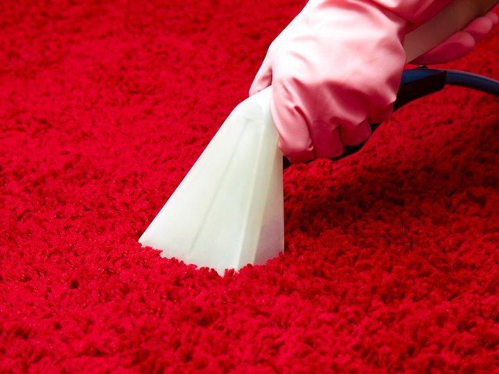 Percorso formativo Mano con guanto pulisce tappeto rosso con aspirapolvere