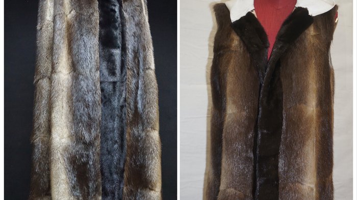 Pellicciai Confronto di cappotto di pelliccia prima e dopo l'accorciamento