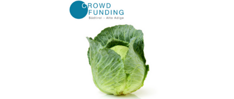 Soluzioni digitali Testa di cavolo verde fresco con logo Crowdfunding Alto Adige
