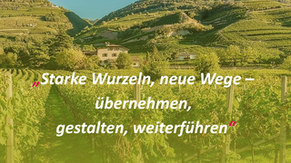 Veranstaltungen Veranstaltungen