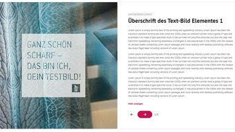 Sprint 04 Textbild mit dem Satz ganz schön scharf das bin ich dein Testbild