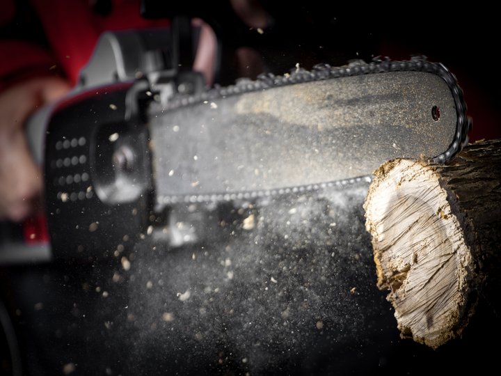 Ausbildung Kettensäge schneidet Holzstamm mit Staub und Spänen im Flug
