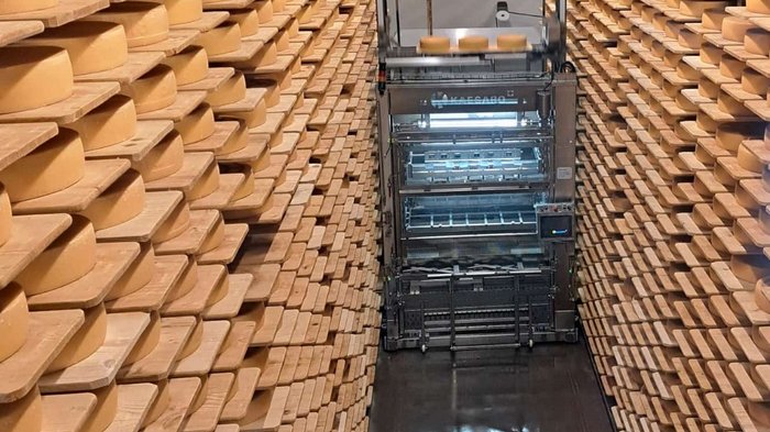 Viaggio autunnale degli artigiani anziani di lvh.apa: puro divertimento e panorama svizzero Stoccaggio automatico di formaggi con tante forme di formaggio su scaffali in legno