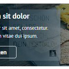 Zitat-Element Vorspeise mit Brot, Tomaten, Käse und Gemüse auf schwarzem Teller