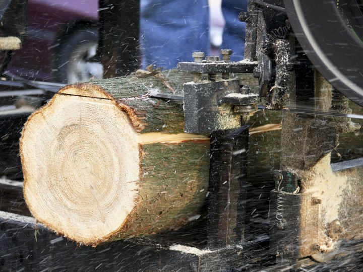 Ausbildung Sägen eines Baumstamms mit einer Bandsäge in einer Holzverarbeitungsanlage