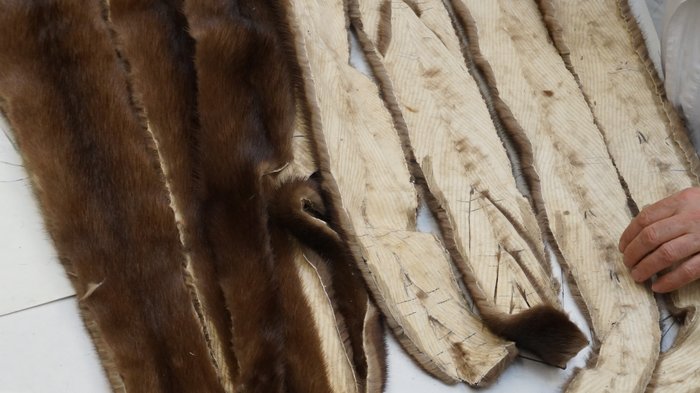 Pellicciai Persona dispone pelli tagliate per la produzione di abbigliamento