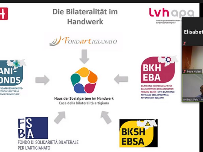 Frauen im Handwerk setzen auf digital Grafik zur Bilateralität im Handwerk mit Logos und Videokonferenzfenster