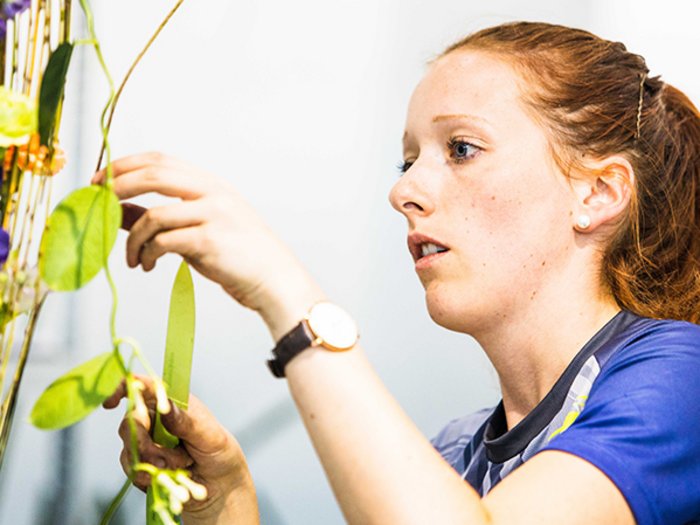 WorldSkills Shanghai: Startschuss heute in einem Jahr Frau arrangiert Blumen im Strauß