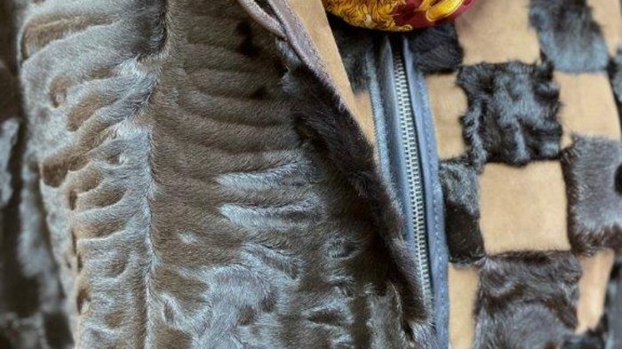 Pellicciai Primo piano di un cappotto di pelliccia con motivo e sciarpa rossa e dorata