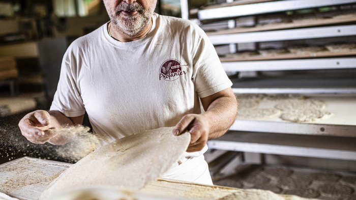 Patente a crediti: proposta di proroga fornaio spolvera la pasta con farina in una panetteria