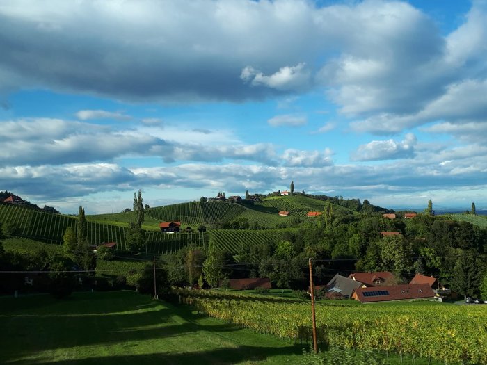 Unsere Althandwerker zu Besuch in der Stiermark Grüne Weinberge und Häuser unter bewölktem Himmel in einer Landschaft
