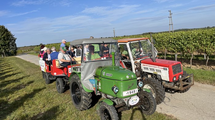 Althandwerker/innen unterwegs: Rundfahrt Weinviertel Traktorfahrt mit zwei Traktoren und Anhänger voller Menschen in einer Weinberglandschaft