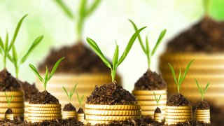 News Pflanzen wachsen aus Stapeln goldener Münzen im Boden als Symbol für Investitionen