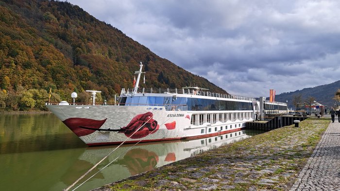 Auf Reisen: Althandwerker auf Flusskreuzfahrt Flusskreuzfahrtschiff A-ROSA Donna an einem bewaldeten Uferkai bei bewölktem Himmel