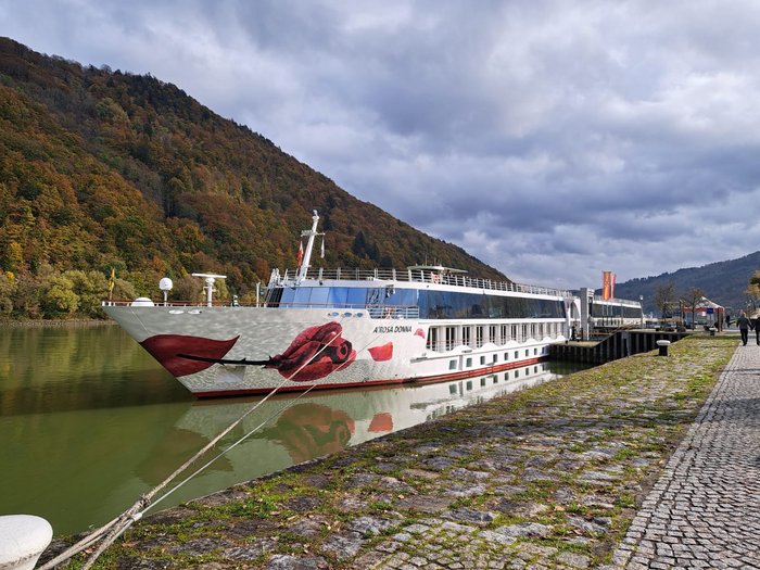 Auf Reisen: Althandwerker auf Flusskreuzfahrt Flusskreuzfahrtschiff A-ROSA Donna an einem bewaldeten Uferkai bei bewölktem Himmel