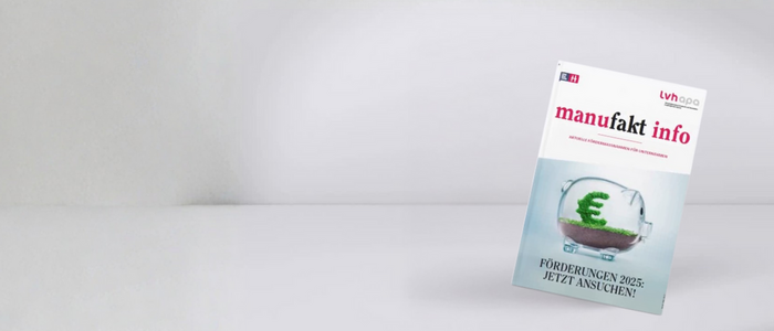 Förderungen und Finanzierungen Flyer manufakt info mit Sparschwein und Euro-Symbol zur Förderung 2025