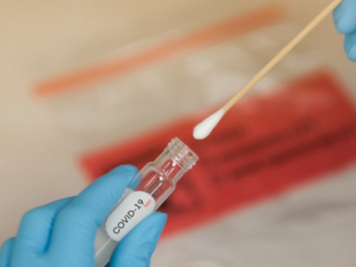 Test-Areas können das Risiko eines zweiten Lockdowns minimieren Person mit Handschuhen nimmt COVID-19 Abstrich mit Wattestäbchen