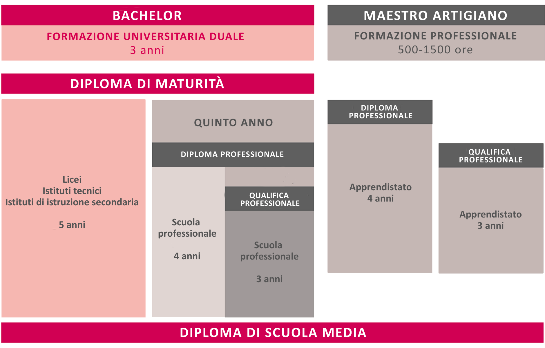 Sistema educativo italiano con laurea, diploma di maturità e formazione artigianale